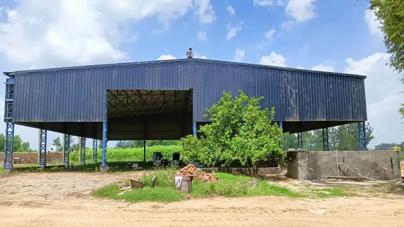 Blue industrial production shed at the Green House Bio Energy site