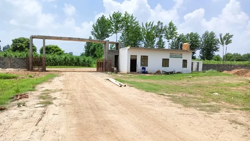 Office building and internal gate at the Green House Bio Energy site